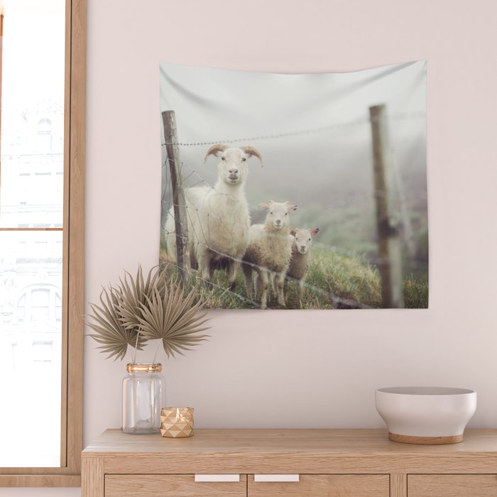 I See Ewe - Animal Photography, Icelandic Sheep Wall Tapestry Gallery Image 2