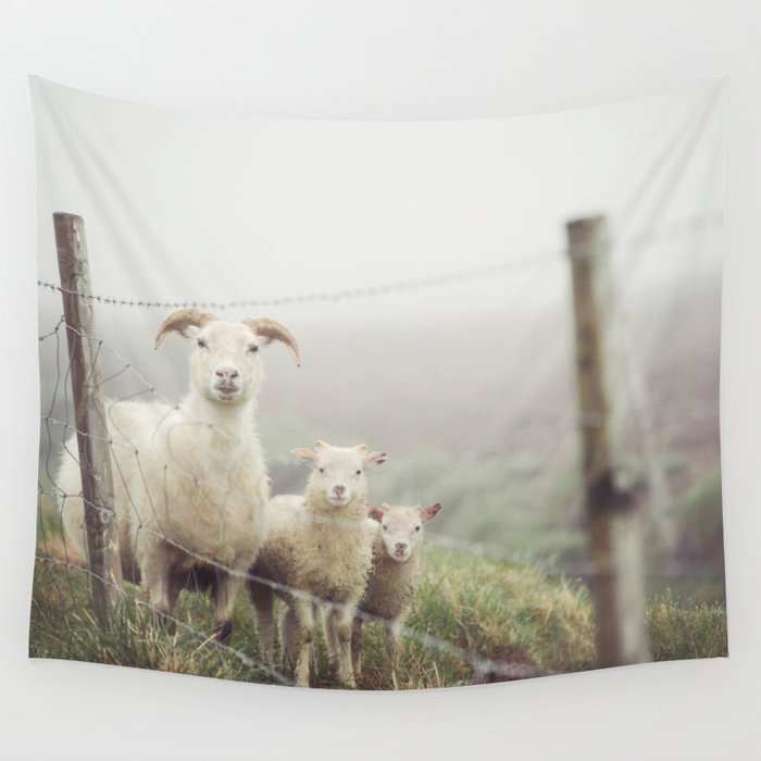I See Ewe - Animal Photography, Icelandic Sheep Wall Tapestry Gallery Image 1