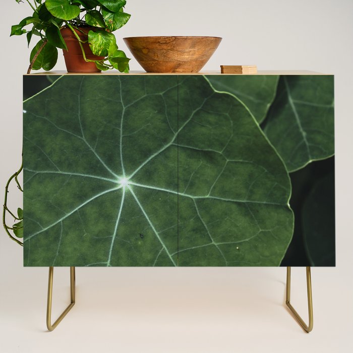 Nasturtium Leaf Botanical Photograph - moody minimal modern photography Credenza Gallery Image 1