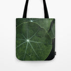 Nasturtium Leaf Botanical Photograph - moody minimal modern photography Tote Bag Gallery Image 1