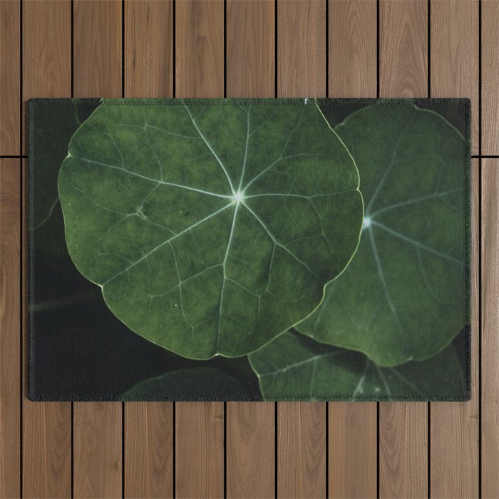 Nasturtium Leaf Botanical Photograph - moody minimal modern photography Outdoor Rug Gallery Image 1