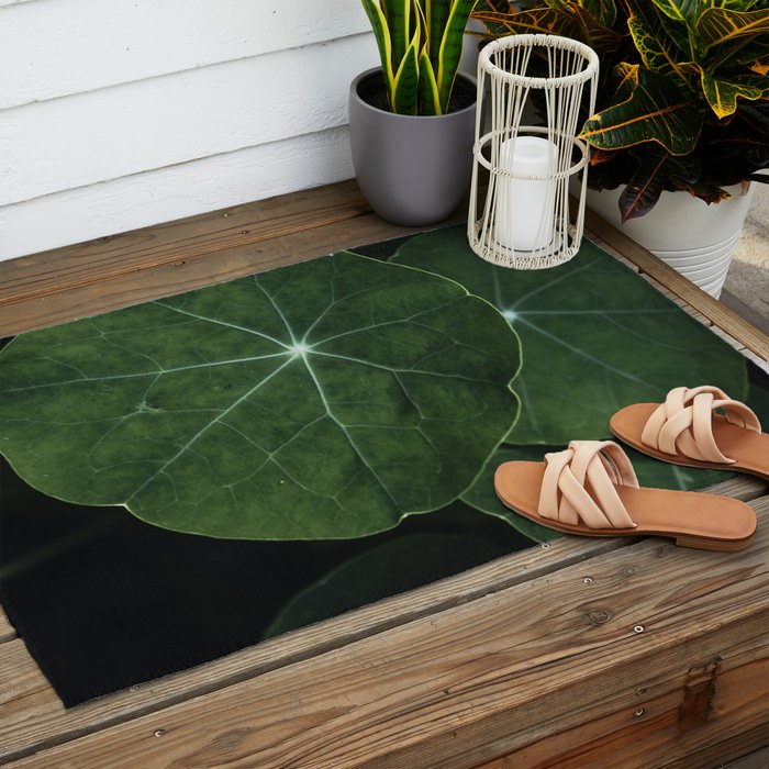 Nasturtium Leaf Botanical Photograph - moody minimal modern photography Outdoor Rug Gallery Image 2