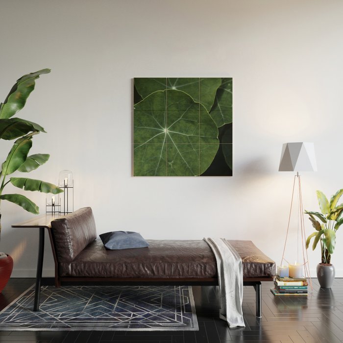 Nasturtium Leaf Botanical Photograph - moody minimal modern photography Wood Wall Art Gallery Image 2
