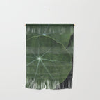 Nasturtium Leaf Botanical Photograph - moody minimal modern photography Wall Hanging Gallery Image 1