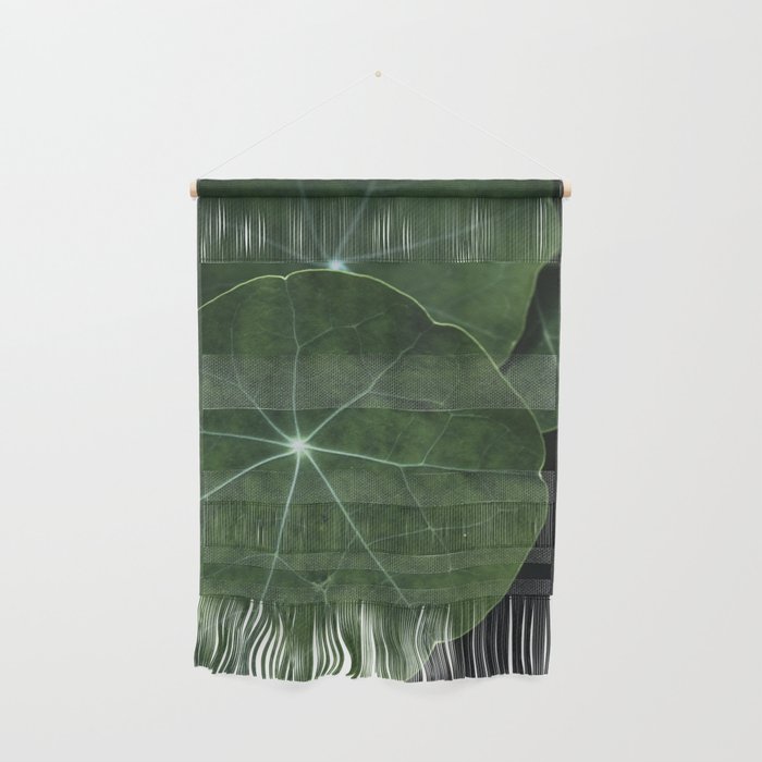 Nasturtium Leaf Botanical Photograph - moody minimal modern photography Wall Hanging Gallery Image 1