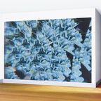 Breath of Fresh Air Wall Mural Gallery Image 2