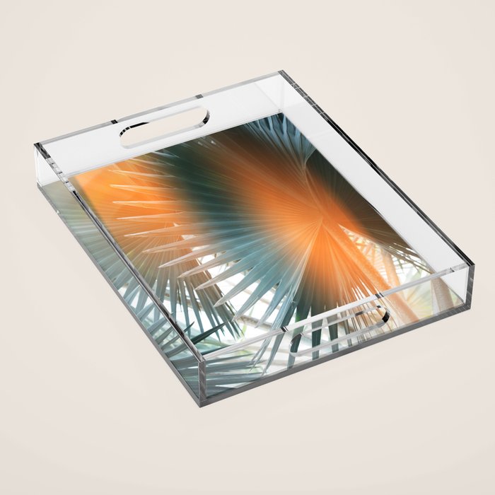 Bismarck Flare - Modern Photography Print Acrylic Tray Gallery Image 1