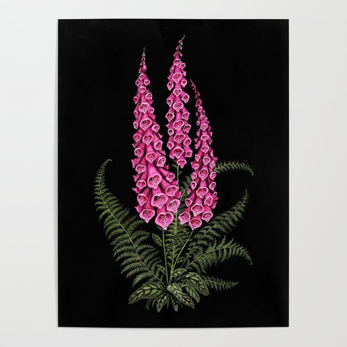 Foxglove and Fern Poster Gallery Image 1