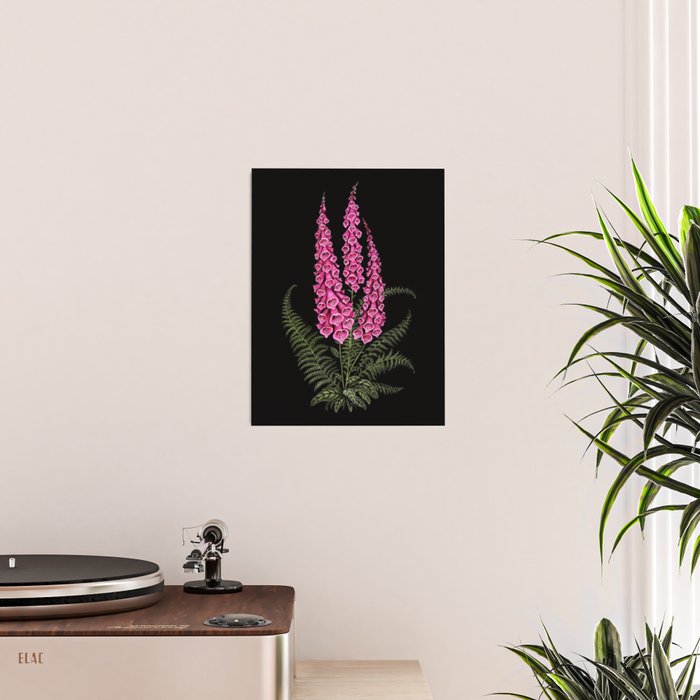 Foxglove and Fern Poster Gallery Image 2