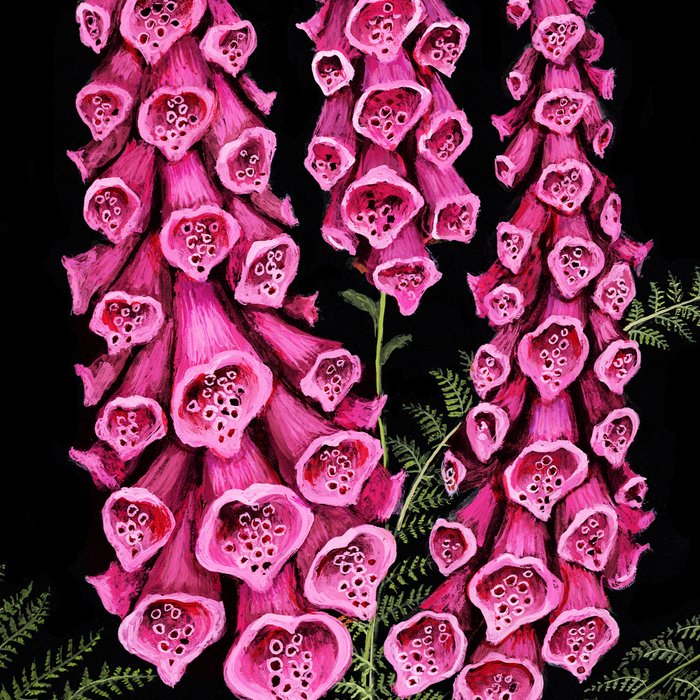 Foxglove and Fern Coffee Mug Gallery Image 2