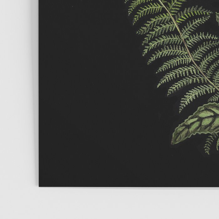 Foxglove and Fern Poster Gallery Image 3
