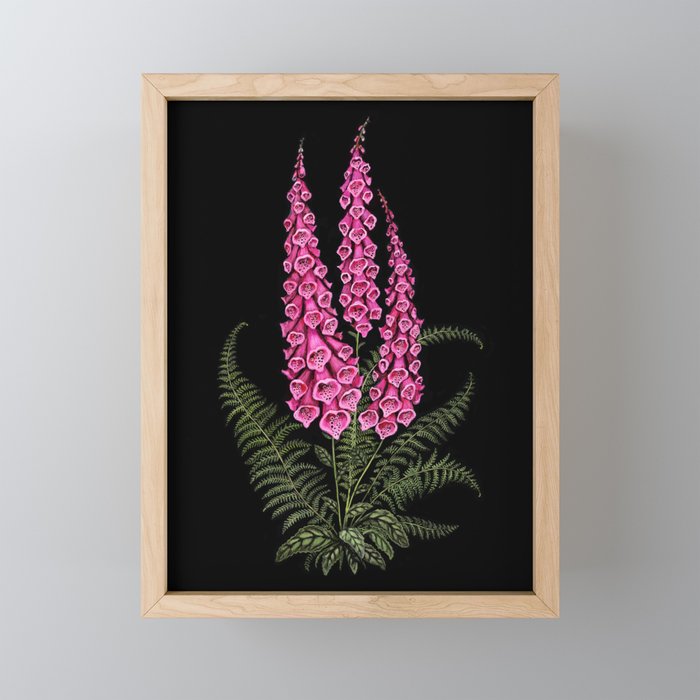 Foxglove and Fern Mini Art Print Gallery Image 1