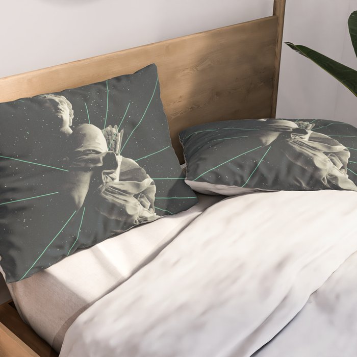 Marbled Dignity Pillow Sham Gallery Image 2