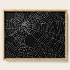 SpiderWeb Web Serving Tray Gallery Image 1