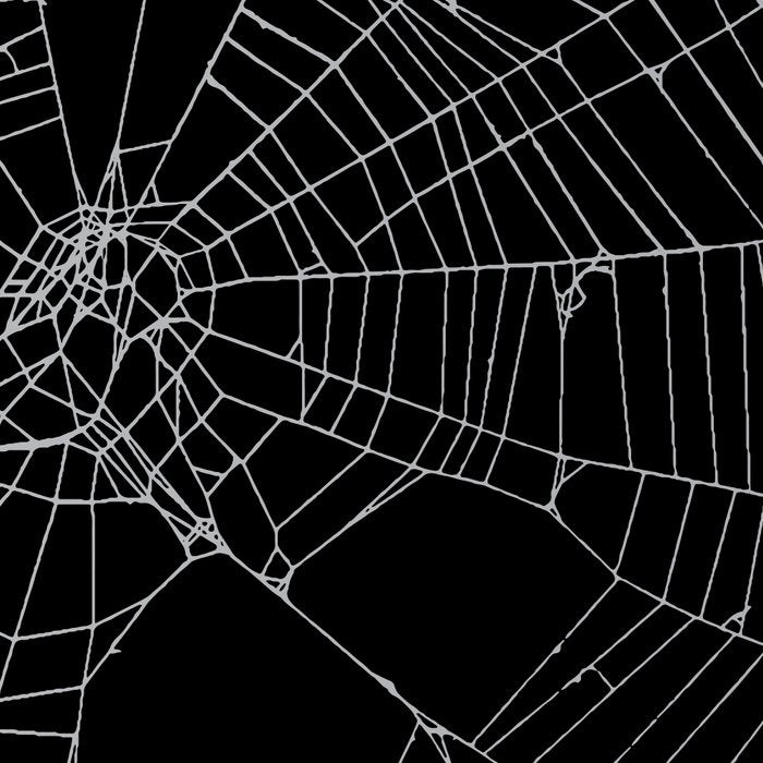 SpiderWeb Web Coffee Mug Gallery Image 2