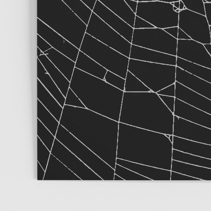 SpiderWeb Web Poster Gallery Image 3