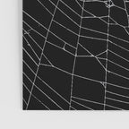 SpiderWeb Web Poster Gallery Image 3