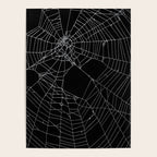 SpiderWeb Web Poster Gallery Image 4