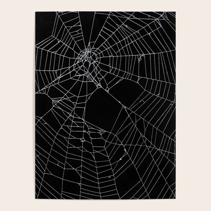 SpiderWeb Web Poster Gallery Image 4