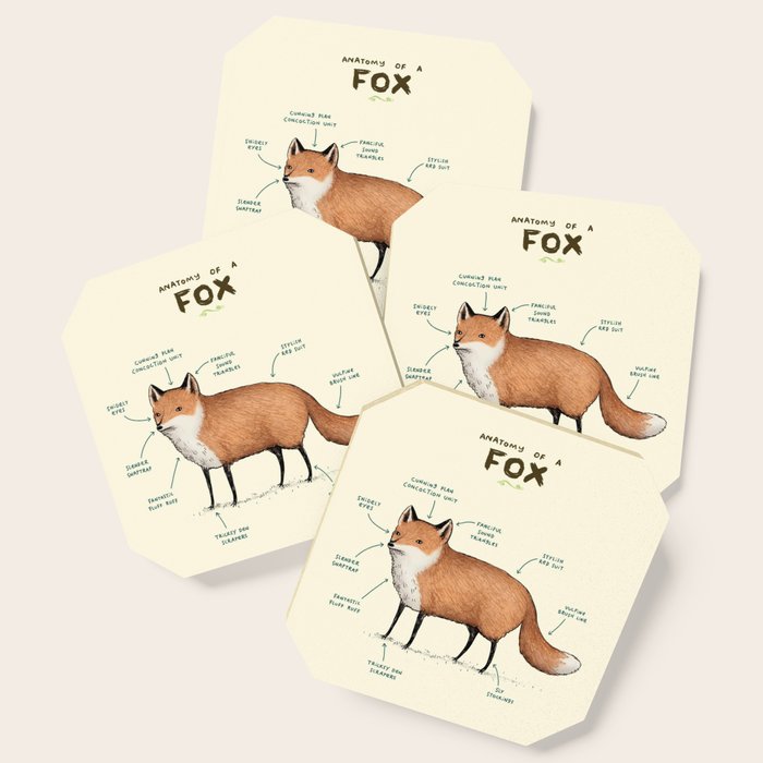 Anatomy of a Fox Coaster Gallery Image 1