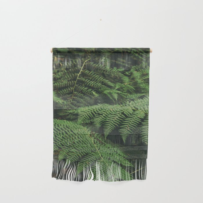 Ferns IX Wall Hanging Gallery Image 1