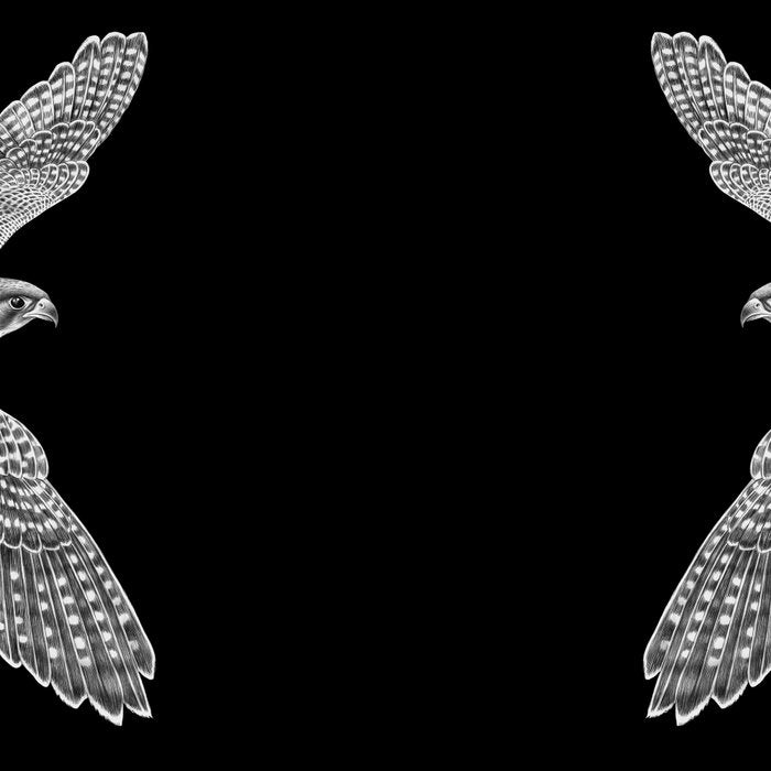Peregrine Falcon Coffee Mug Gallery Image 2