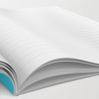 Let me in? Notebook Gallery Image 2