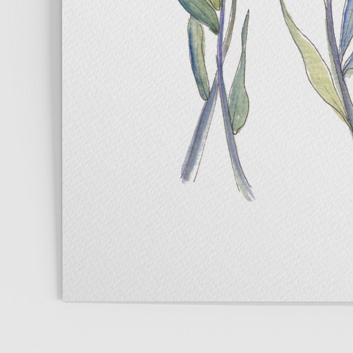 Blue Forget Me Not Blooms Poster Gallery Image 3