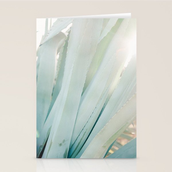 Aloë Vera in the Sun | Italy travel photography on film Stationery Card Gallery Image 2