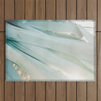 Aloë Vera in the Sun | Italy travel photography on film Outdoor Rug Gallery Image 1