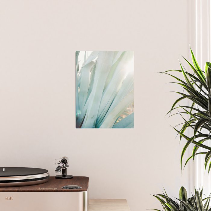 Aloë Vera in the Sun | Italy travel photography on film Poster Gallery Image 2