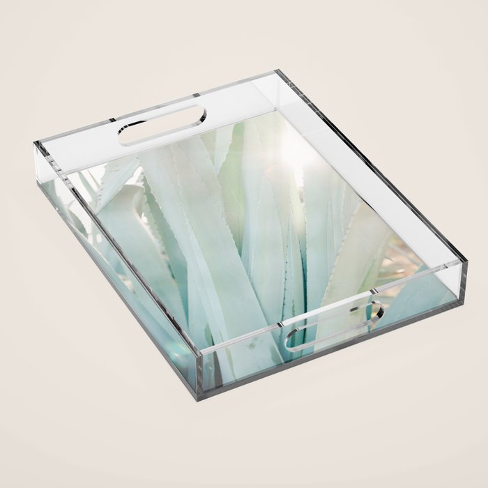 Aloë Vera in the Sun | Italy travel photography on film Acrylic Tray Gallery Image 1