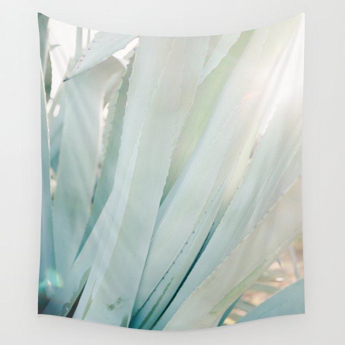 Aloë Vera in the Sun | Italy travel photography on film Wall Tapestry Gallery Image 1