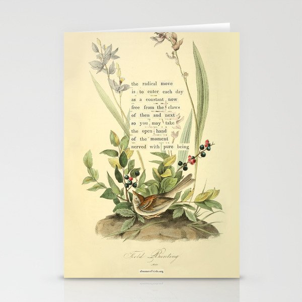Bird Divinations: Field Bunting (about: almanacofbirds.org) Stationery Card Gallery Image 2