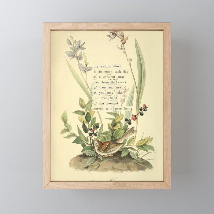 Bird Divinations: Field Bunting (about: almanacofbirds.org) Mini Art Print Gallery Image 1