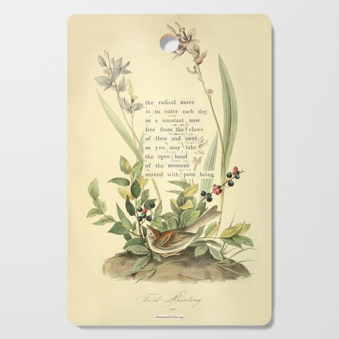 Bird Divinations: Field Bunting (about: almanacofbirds.org) Cutting Board Gallery Image 1