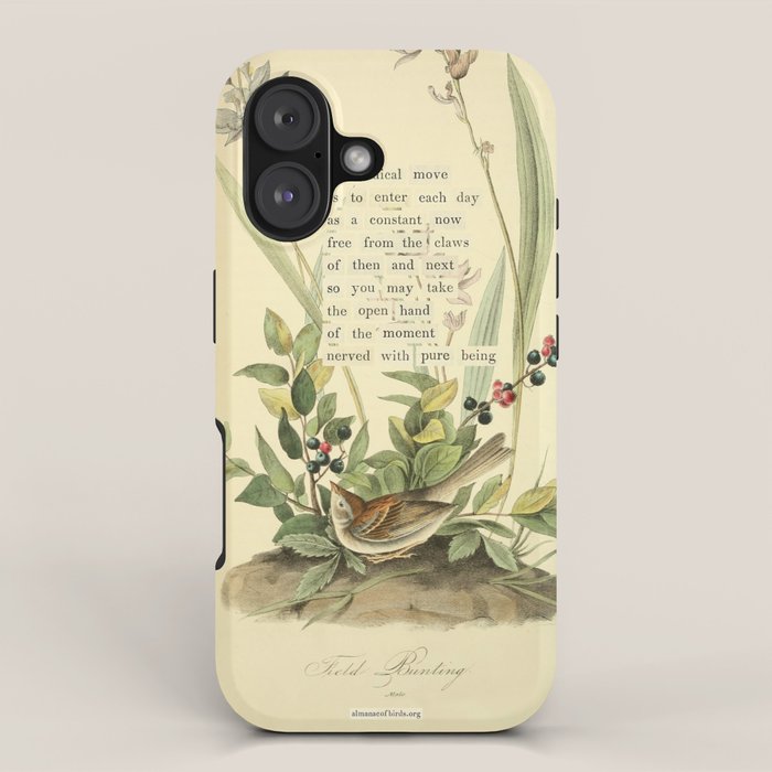 Bird Divinations: Field Bunting (about: almanacofbirds.org) iPhone Case Gallery Image 1