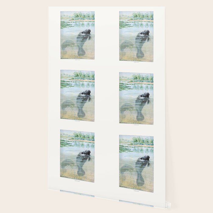 Vintage Florida Manatee Wallpaper Gallery Image 2