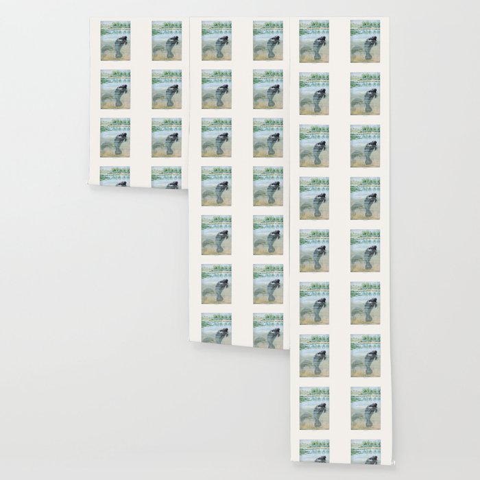 Vintage Florida Manatee Wallpaper Gallery Image 3