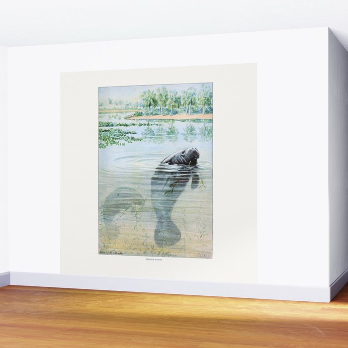 Vintage Florida Manatee Wall Mural Gallery Image 2