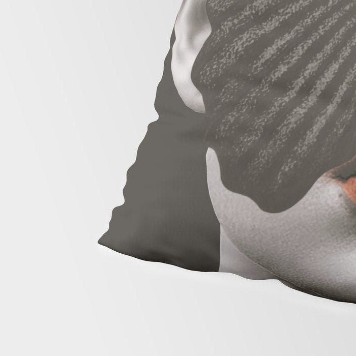 BLACK BUTTERFLY 3 Pillow Sham Gallery Image 4