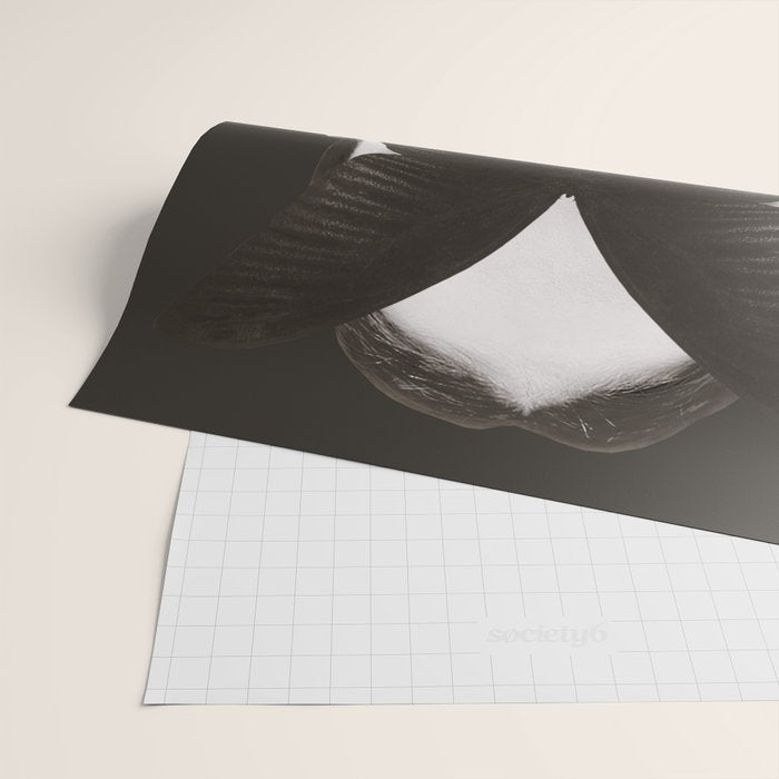 BLACK BUTTERFLY 3 Wrapping Paper Gallery Image 2