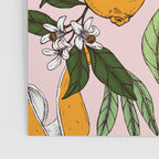 Succulent sweets oranges Poster Gallery Image 3