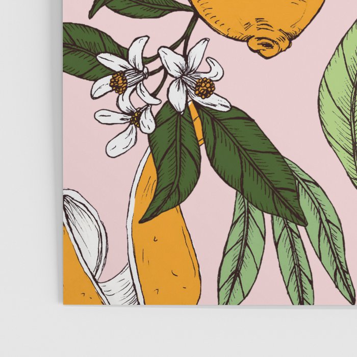 Succulent sweets oranges Poster Gallery Image 3