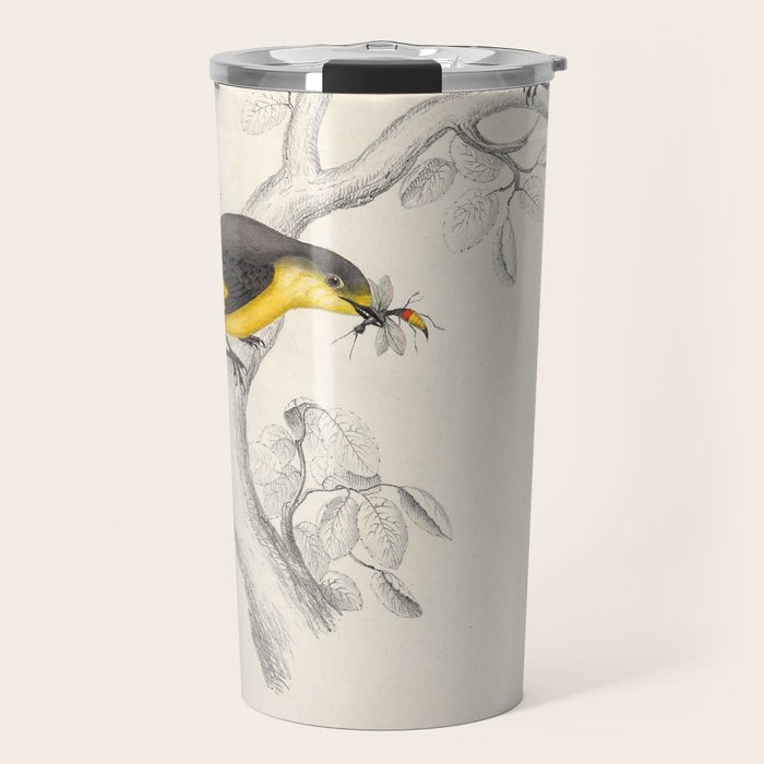 Short-billed minivet by Elizabeth Gould from "A Century of Birds from the Himalaya Mountains," 1831 Travel Mug Gallery Image 1
