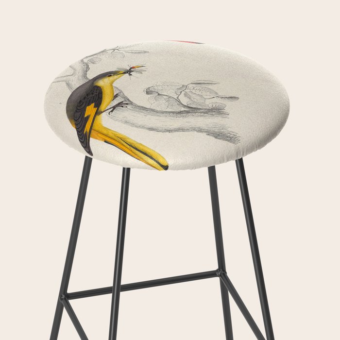 Short-billed minivet by Elizabeth Gould from "A Century of Birds from the Himalaya Mountains," 1831 Stool Gallery Image 2