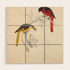 Short-billed minivet by Elizabeth Gould from "A Century of Birds from the Himalaya Mountains," 1831 Wood Wall Art Gallery Image 1