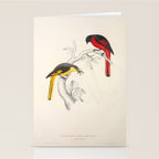 Short-billed minivet by Elizabeth Gould from "A Century of Birds from the Himalaya Mountains," 1831 Stationery Card Gallery Image 2