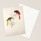 Short-billed minivet by Elizabeth Gould from "A Century of Birds from the Himalaya Mountains," 1831 Stationery Card Gallery Image 2