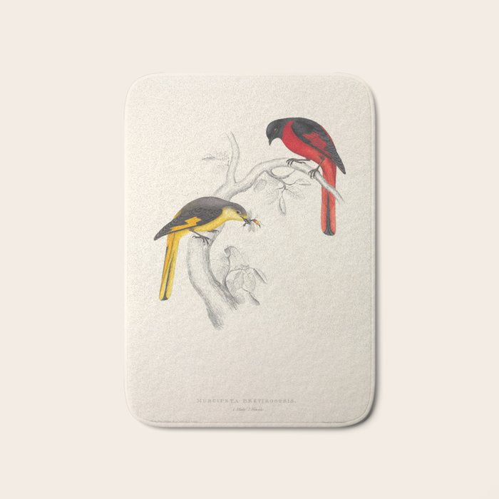 Short-billed minivet by Elizabeth Gould from "A Century of Birds from the Himalaya Mountains," 1831 Bath Mat Gallery Image 1